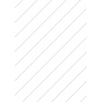 30027 - Backslit - 12 (45° Angle) Slit - Diagonal (60mm apart - Centred)