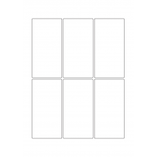 30110 - Label Size 170mm x 86mm - 6 label(s) per sheet 