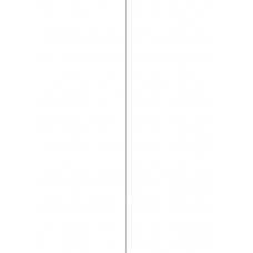 40412 - Label Size 105mm x 295.2mm - 2 label(s) per sheet 