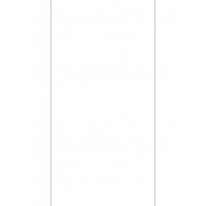 40710 - Label Size 150mm x 295.275mm - 1 label(s) per sheet